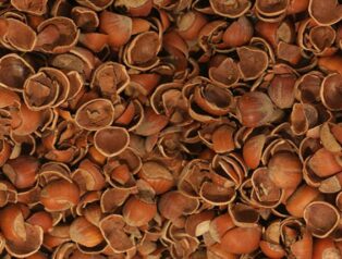 Fındık Kabuklarının Besin Değeri: Neleri İçerir?