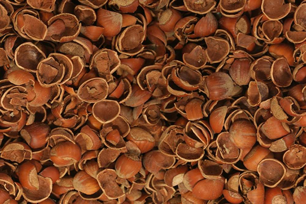 Findik Kabugu Satisi Fiyati Saticilari 0004hazelnut Shell Turkey 1
